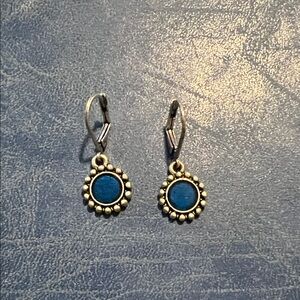 Elegant Blue and Silver Earrings